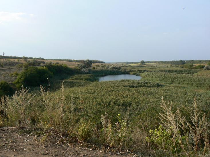 Куйбишеве з panoramio.com - Kuybisheva