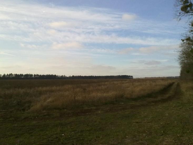 Новосілки з panoramio.com - Новосілки