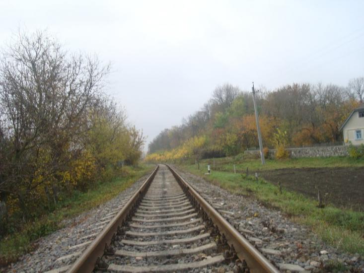 Вільхівці з panoramio.com - Вільхівці