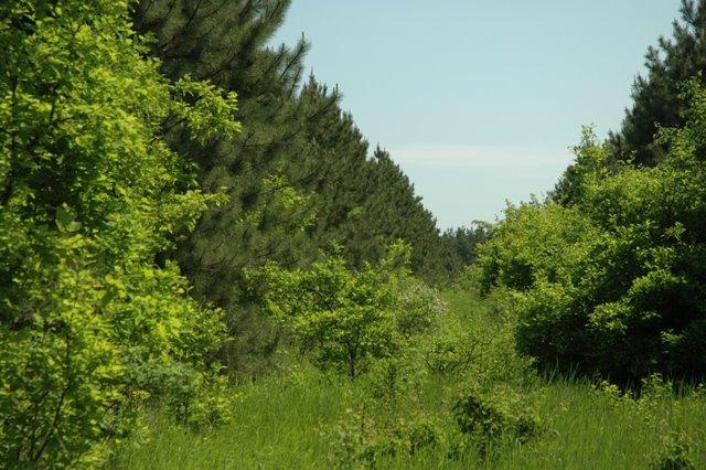 Кринички з panoramio.com - Кринички