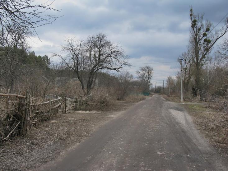 Бірки з panoramio.com - Бирки