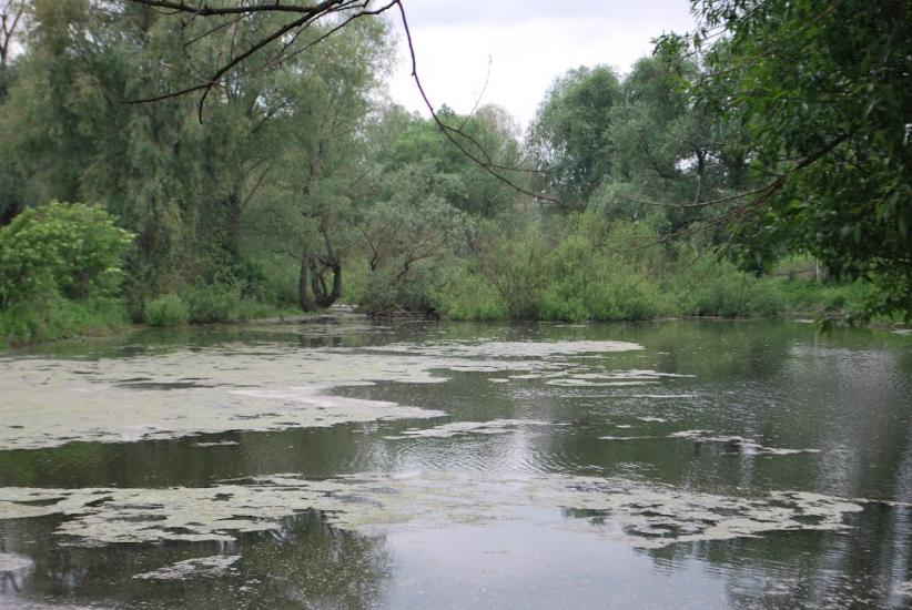 Хорів з panoramio.com - Khoriv