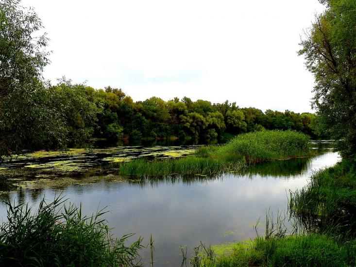 Жовте з panoramio.com - Желтое
