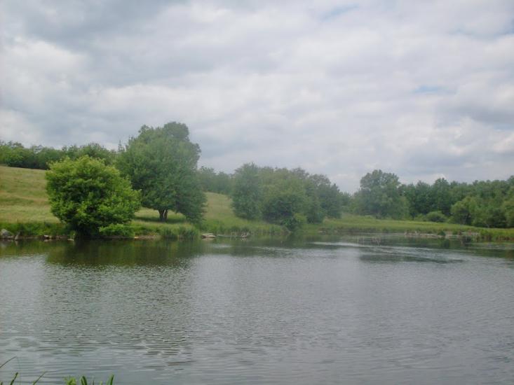 Бубнівка з panoramio.com - Бубновка