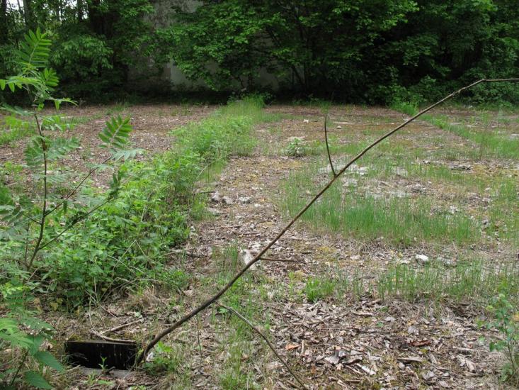 Рижів з panoramio.com - Рижів