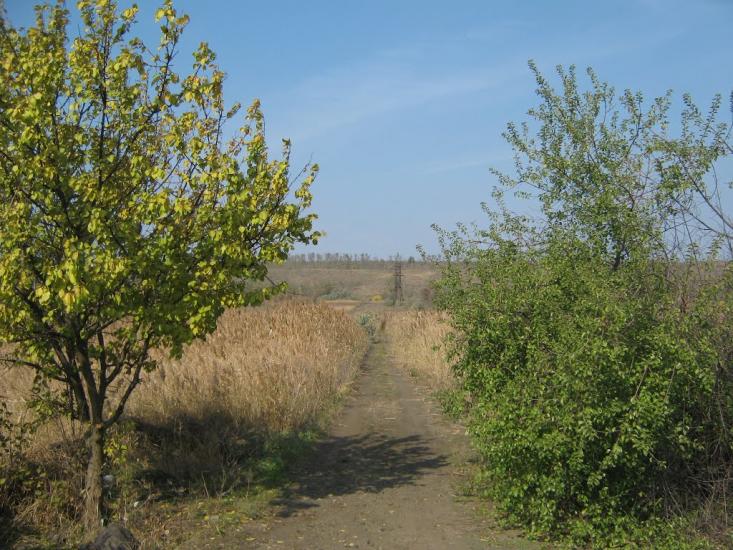 Старозаводське з panoramio.com - Старозаводское