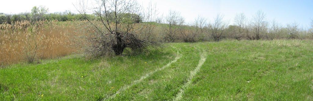 Крутий Яр з panoramio.com - Крутий Яр