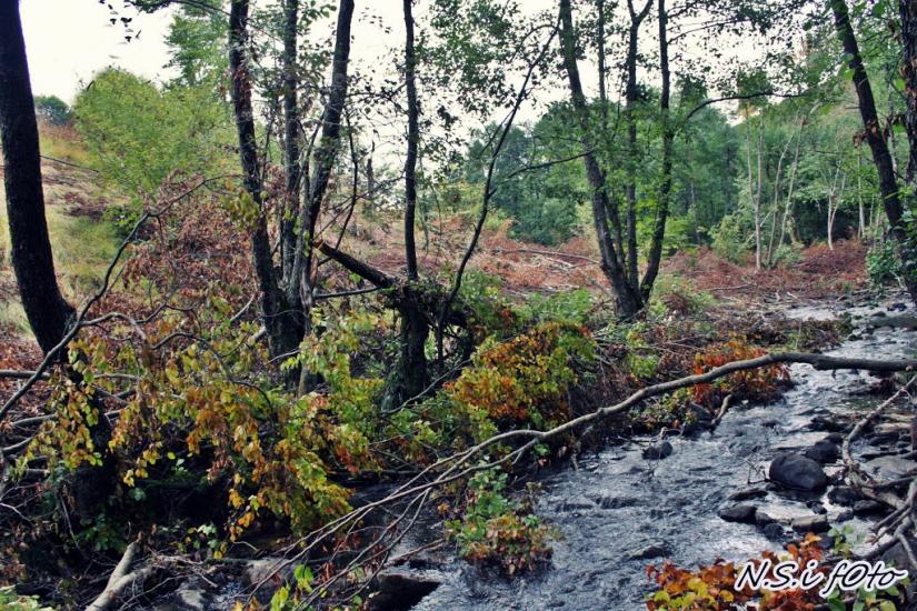 Бедевля з panoramio.com - Бедевля