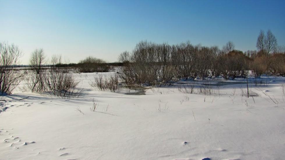 Кузнецовськ з panoramio.com - Varash