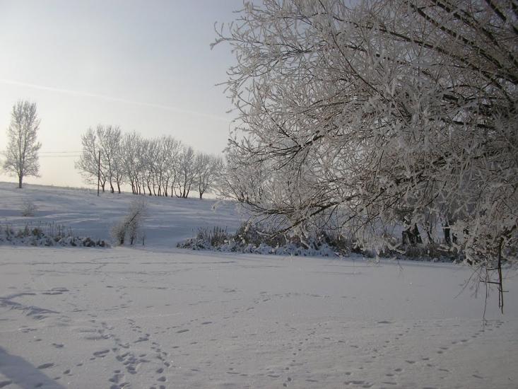 Рудківці з panoramio.com - Рудківці