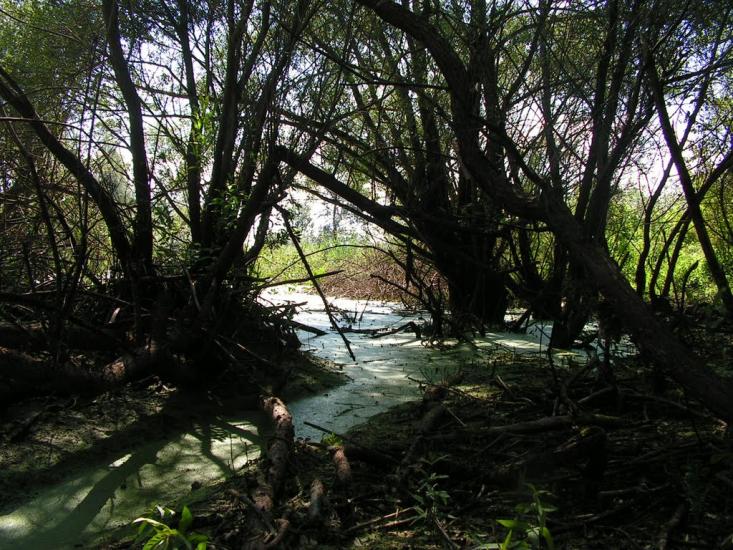 Забужжя з panoramio.com - Забужье