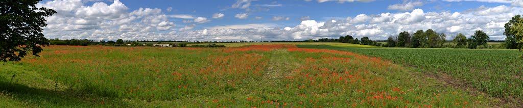 Пужайкове з panoramio.com - Пужайкове