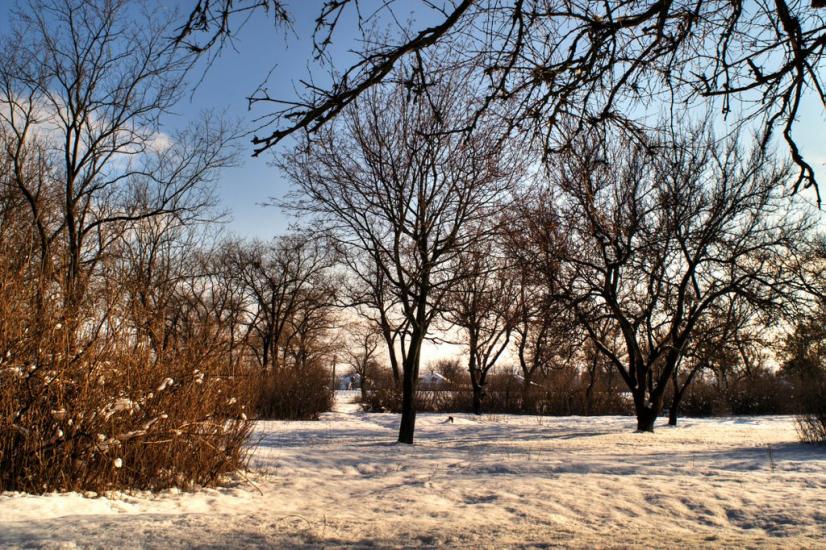 Багерове з panoramio.com - Багерове