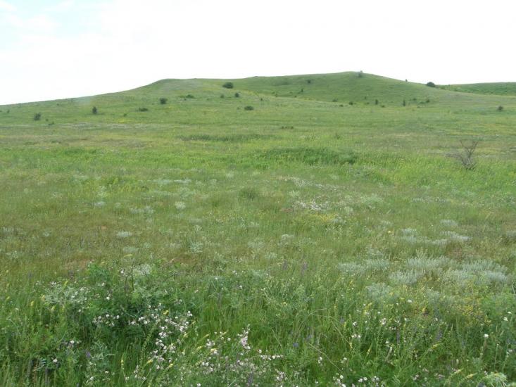 Новозванівка з panoramio.com - Новозвановка