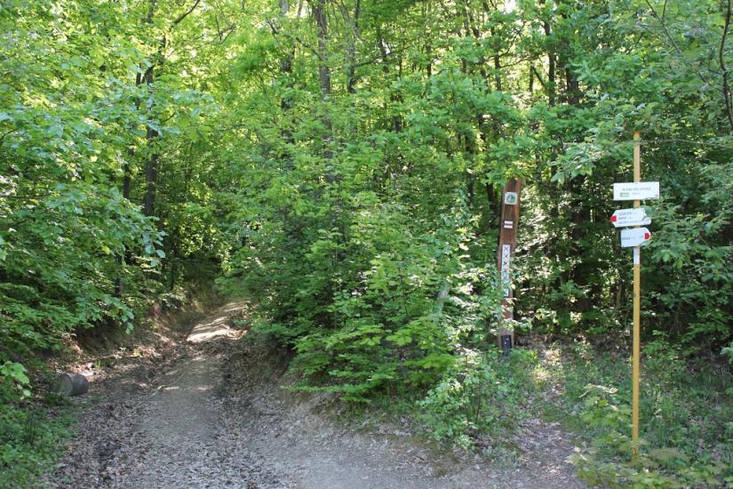 Княгиня з panoramio.com - Княгиня