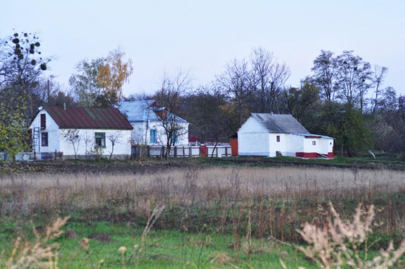 Буки з panoramio.com - Буки