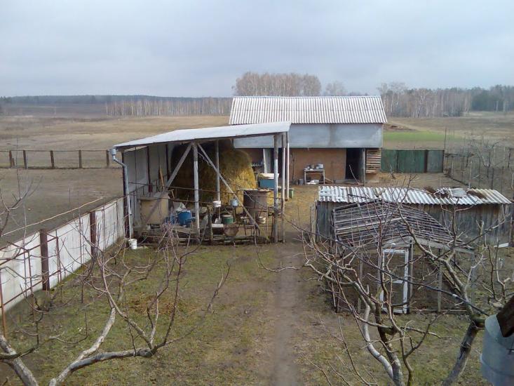 Зурівка з panoramio.com - Зурівка