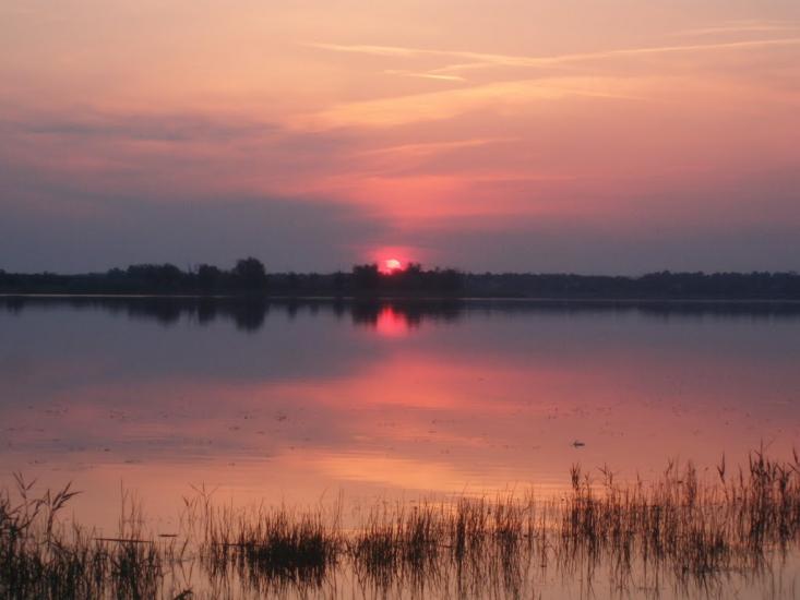 Макорти з panoramio.com - Макорти