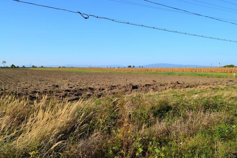 Сюрте з panoramio.com - Сюрте