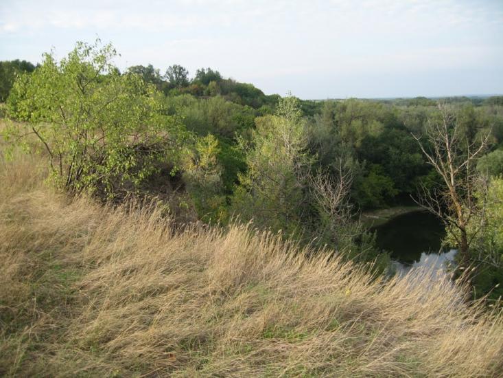 Плавні з panoramio.com - Плавни