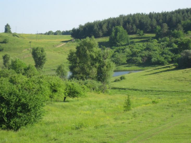 Плужне з panoramio.com - Плужное