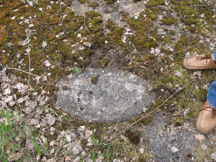 Рижів з panoramio.com - Рижів