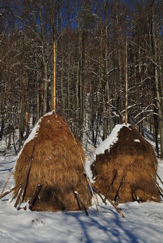 Люча з panoramio.com - Люча