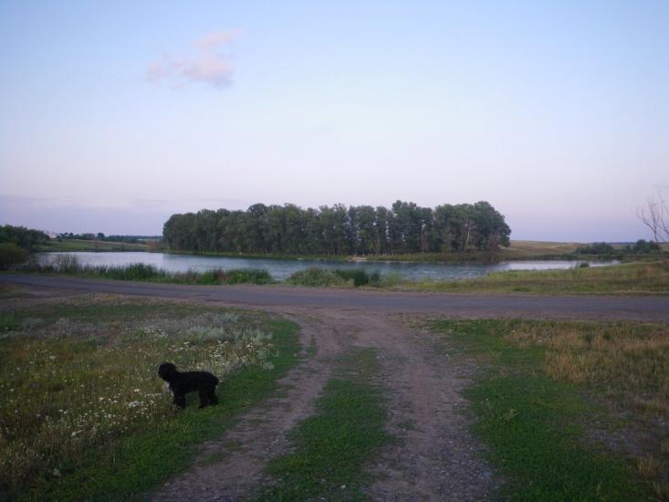 В'язова з panoramio.com - В'язова