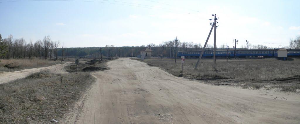 Бірки з panoramio.com - Бирки