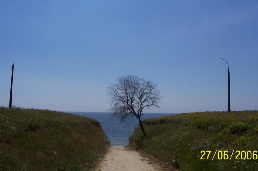 Лебедівка з panoramio.com - Lebedivka