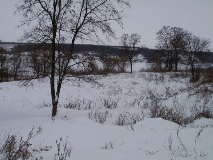 Суха Балка з panoramio.com - Суха Балка