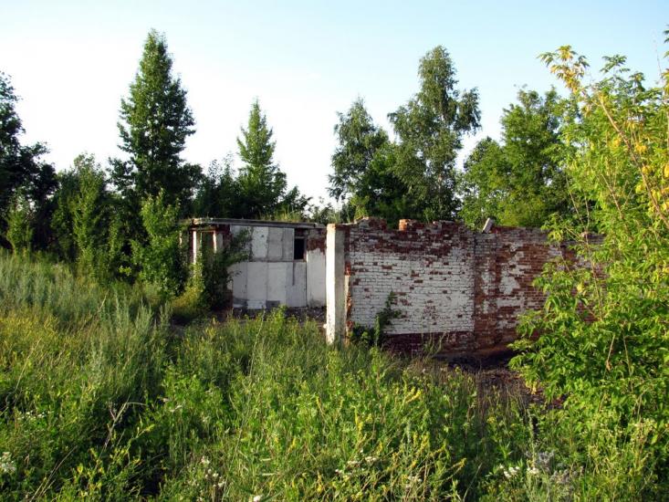 Хорошеве з panoramio.com - Хорошево