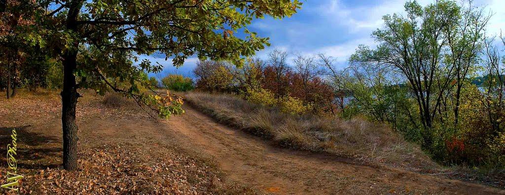 Придніпровське з panoramio.com - Придніпровське