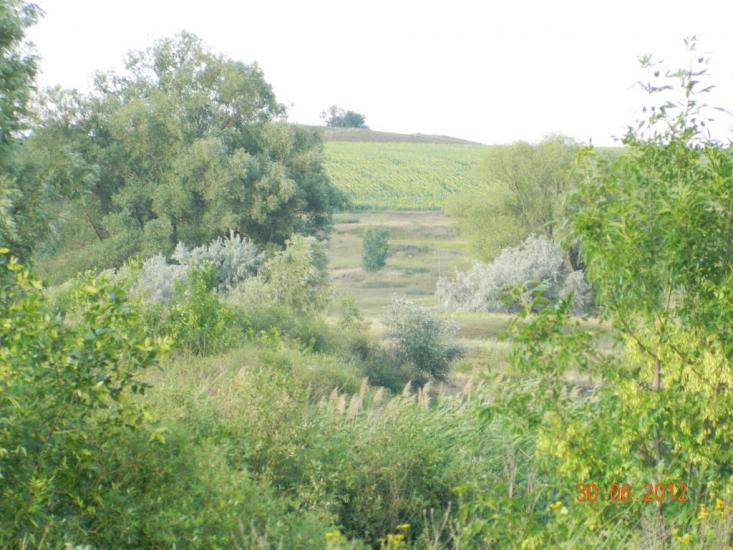 Лівенське з panoramio.com - Лівенське