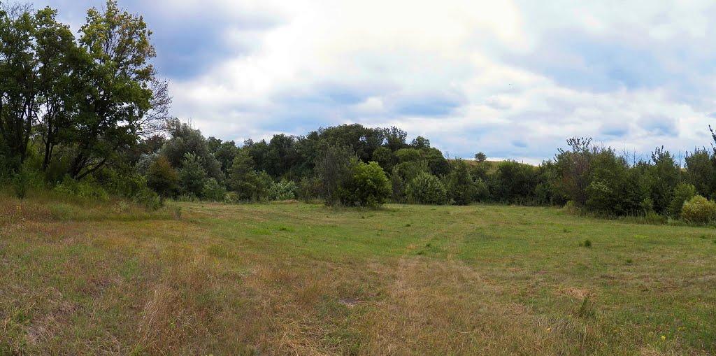 Нікішине з panoramio.com - Никишино