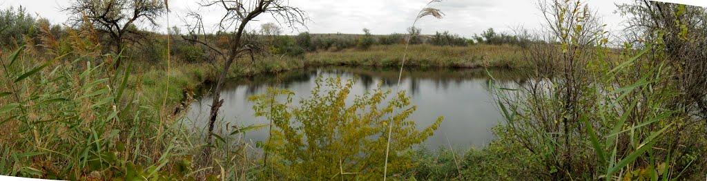 Старозаводське з panoramio.com - Старозаводское