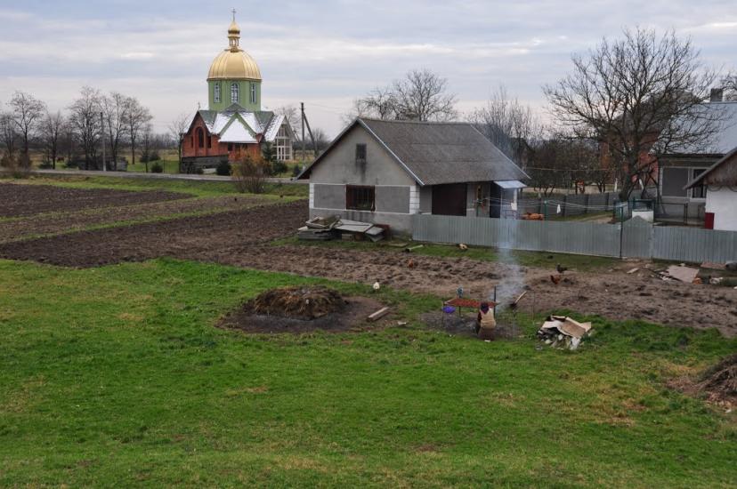 Липиці з panoramio.com - Липицы