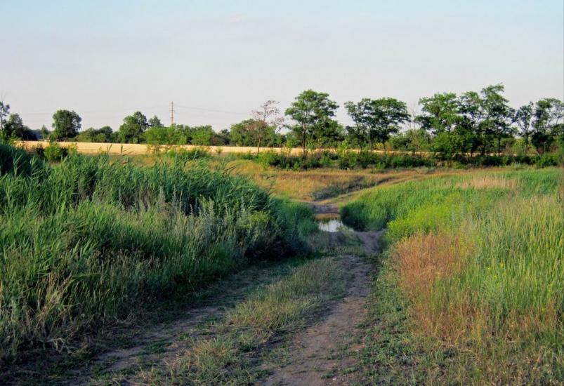Златопіль з panoramio.com - Златопіль