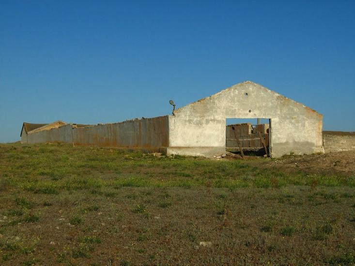 Новоозерне з panoramio.com - Новоозерное