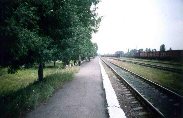 Родинське з panoramio.com - Родинське