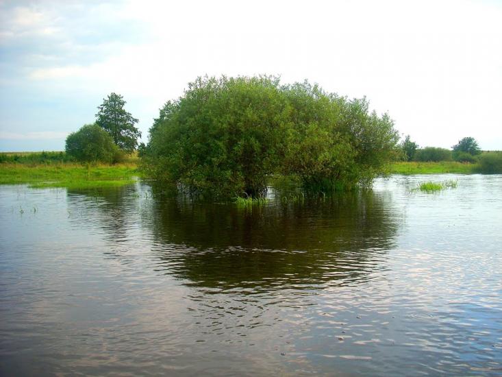 Несолонь з panoramio.com - Несолонь