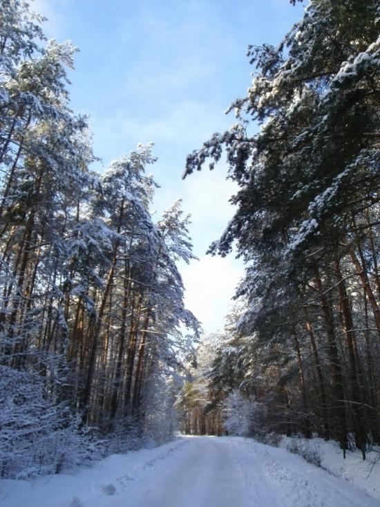 Костопіль з panoramio.com - Костополь