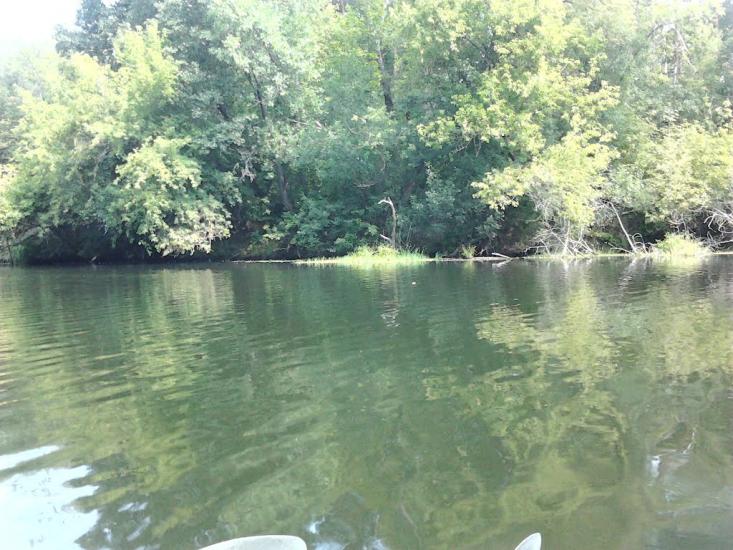 Межиріч з panoramio.com - Межирич