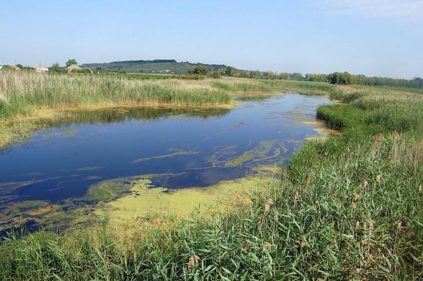 Булгаківка з panoramio.com - Булгаковка