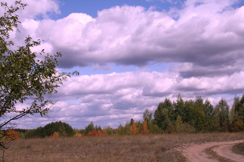 Малинівка з panoramio.com - Малинівка