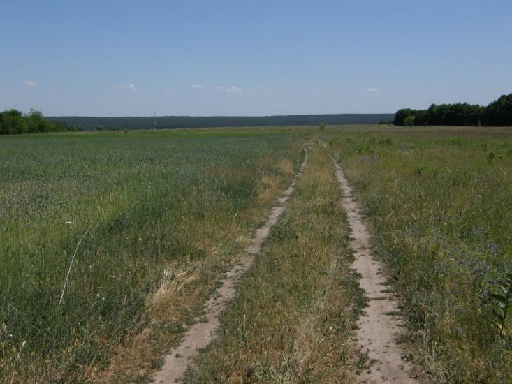 Новосілки з panoramio.com - Новосілки