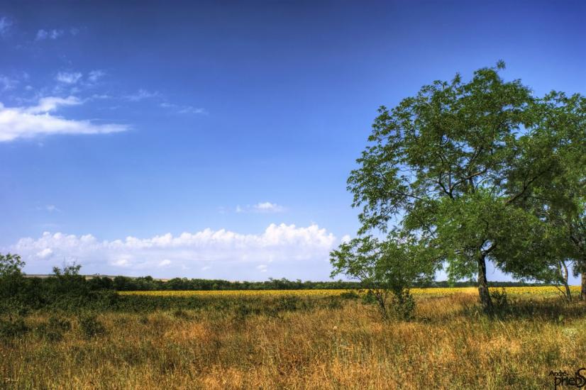 Багерове з panoramio.com - Багерове