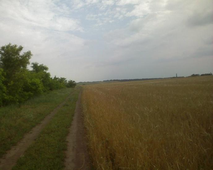 Бурханівка з panoramio.com - Бурханівка