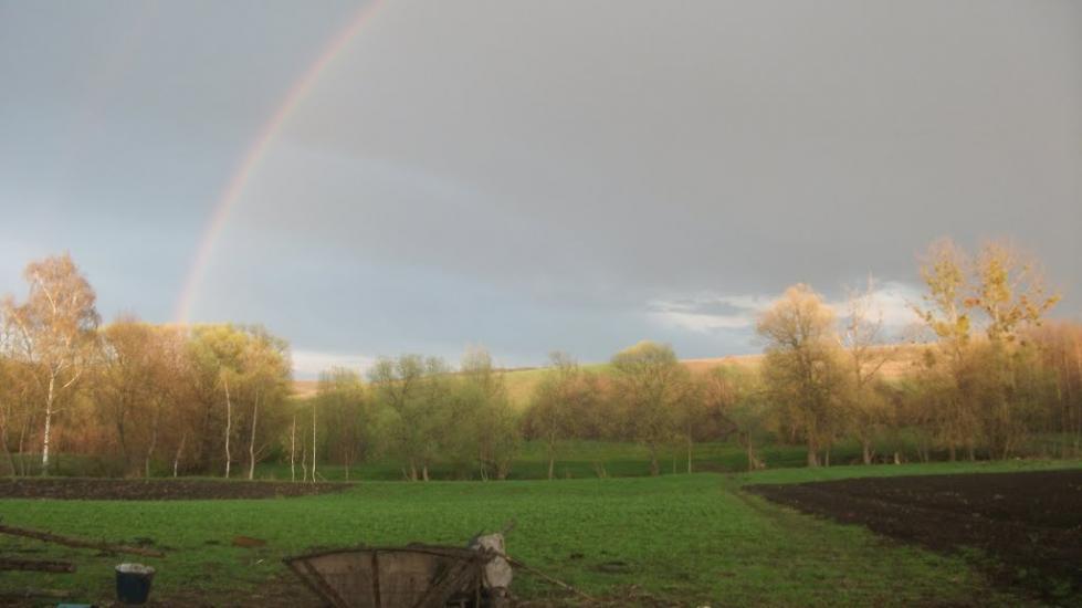 Теліжинці з panoramio.com - Тележинцы