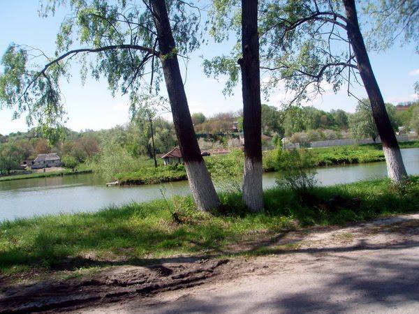 Великі Дмитровичі з panoramio.com - Великі Дмитровичі
